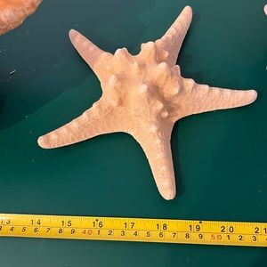Real Starfish
